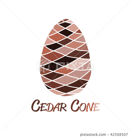 Cedar cone, sketch for your design Cedar cone, sketch for your design 42508507