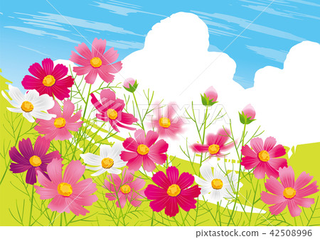 Cosmos Ring White Cosmos Ring White 42508996