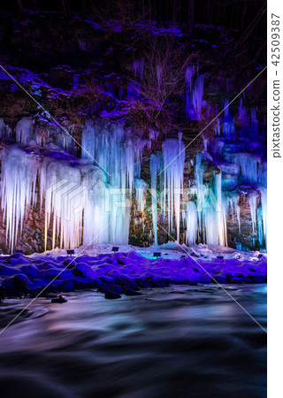 Ice pillar of thirty hammer Mikazuki no Oclite Light Up Night view (Chichibu city, Saitama Prefecture) February 2018 42509387