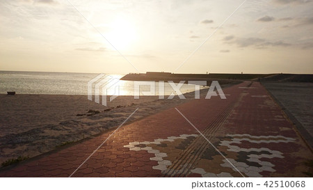 Tropical Beach 42510068