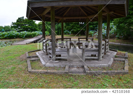 我去了Tokunoguchi水上樂園3 我去了Tokunoguchi水上樂園3 42510168