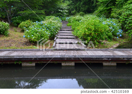 我去了Tokunoguchi水上樂園#4 我去了Tokunoguchi水上樂園#4 42510169