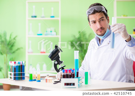 Man chemist working in the lab Man chemist working in the lab 42510745
