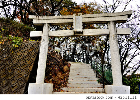 Ashikaga City female asama shrine a torii gate 42511111