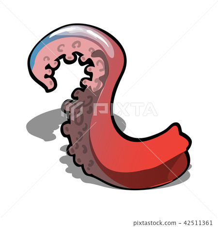 Red octopus tentacle isolated on a white background. Vector cartoon close-up illustration. 42511361
