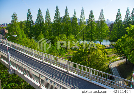 Osaka · Seongbuk Park 42511494