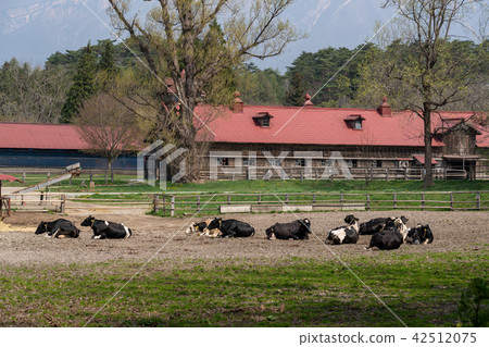 Koiwai農場的穀倉 Koiwai農場的穀倉 42512075