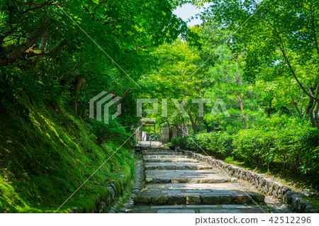 京都的Asungen的佛寺夏天 42512296
