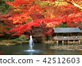 Autumn leaves of a pond 42512603