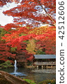 Autumn leaves of a pond 42512606