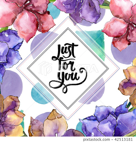 Watercolor colorful amaryllis flowers. Floral botanical flower. Frame border ornament square. Watercolor colorful amaryllis flowers. Floral botanical flower. Frame border ornament square. 42513181