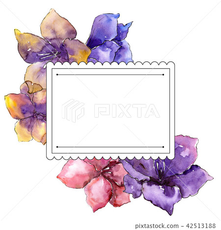 Watercolor colorful amaryllis flowers. Floral botanical flower. Frame border ornament square. Watercolor colorful amaryllis flowers. Floral botanical flower. Frame border ornament square. 42513188