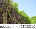 Wisteria trellis 42513310