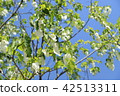 Handkerchief 42513311