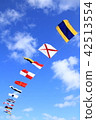 flag 42513554