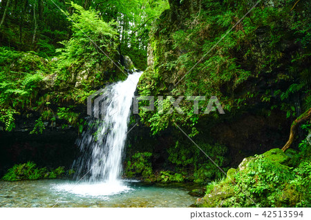 Jinguma Waterfall 42513594