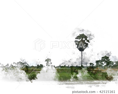 field landscape watercolor illustration painting field landscape watercolor illustration painting 42515161