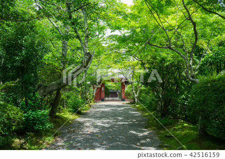 吉野門在京都寺廟的夏天 吉野門在京都寺廟的夏天 42516159