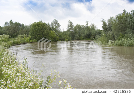 floods river floods river 42516586