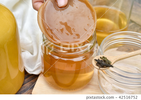 Scoby, Hand holding tea mushroom with kombucha. 42516752