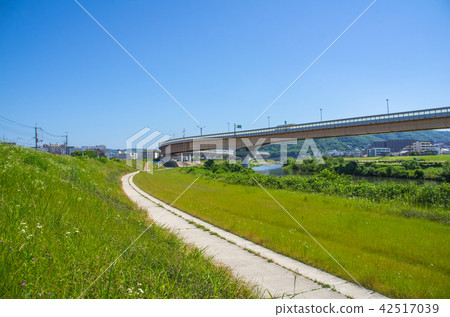 图库照片 河床 阪神高速道路 丛