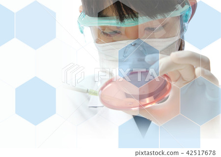 Research image 42517678