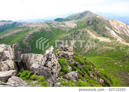 Miyama Kirishima Blooms Kuju Mountains · Kusumiyama Miyama Kirishima Blooms Kuju Mountains · Kusumiyama 42518265