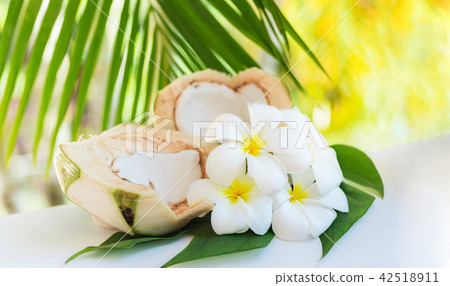 Fresh coconut cuts with tropical palm leaves and Fresh coconut cuts with tropical palm leaves and 42518911
