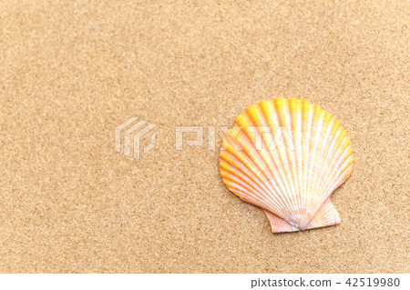 Glib shell and cork board Glib shell and cork board 42519980