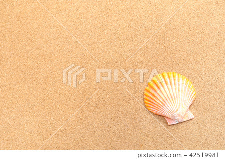 Glib shell and cork board Glib shell and cork board 42519981