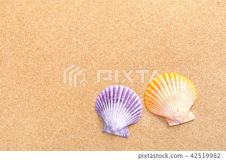 Glib貝殼和軟木板 Glib貝殼和軟木板 42519982