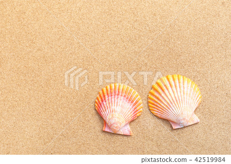 Glib貝殼和軟木板 Glib貝殼和軟木板 42519984