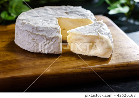 Cheese 42520168