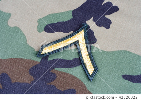 US ARMY Private rank patch on camouflage uniform 42520322