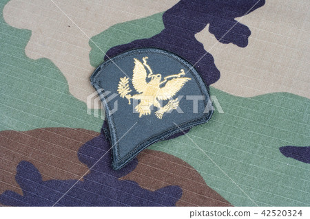 US ARMY Specialist rank patch  42520324