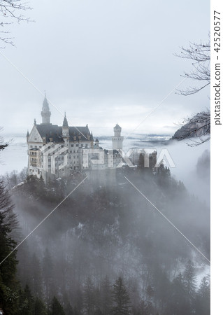 Neuschwanstein Castle 42520577