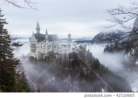 Neuschwanstein Castle 42520605