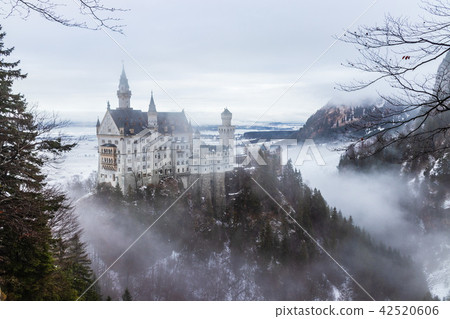 Neuschwanstein Castle 42520606