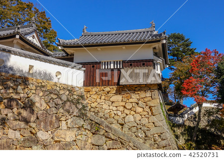 五平塔秋季比基尼的松山城先生 42520731