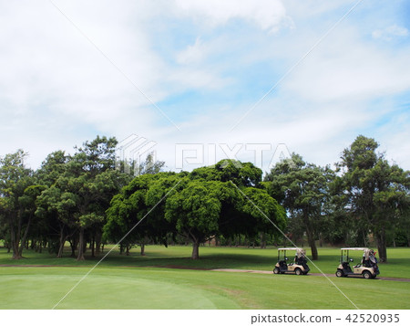Hawaii's golf course Hawaii's golf course 42520935