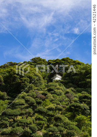 Ruzenji山坡 42521446