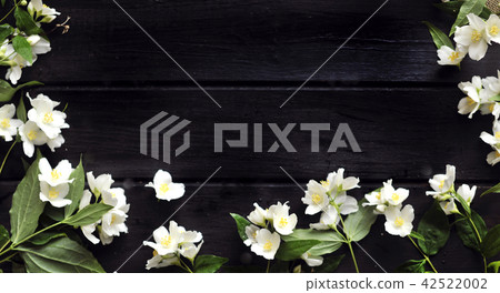 Jasmine flowers on a black wooden background. Free space for text. Jasmine flowers on a black wooden background. Free space for text. 42522002