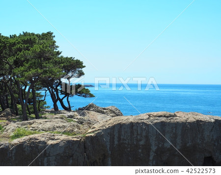 Hinagiko海岸 Hinagiko海岸 42522573
