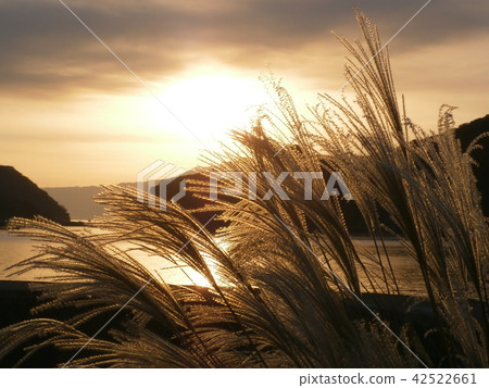 秋季景觀2 秋季景觀2 42522661