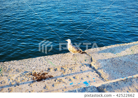 Beautiful panoramas of Nessebar. Bulgaria-sun, sea, beach Beautiful panoramas of Nessebar. Bulgaria-sun, sea, beach 42522662