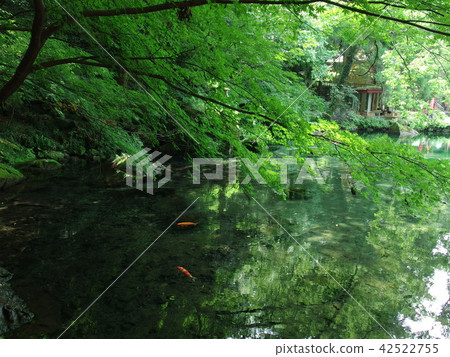 Outbound bulbendai pond summer 2018 42522755