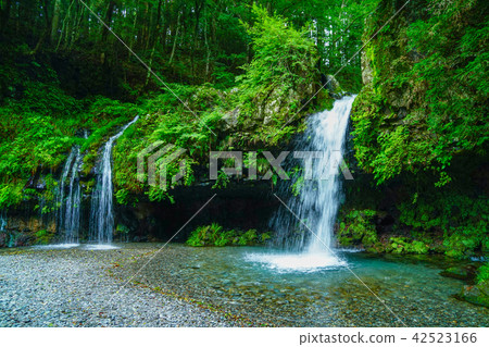 Jinguma Waterfall Jinguma Waterfall 42523166