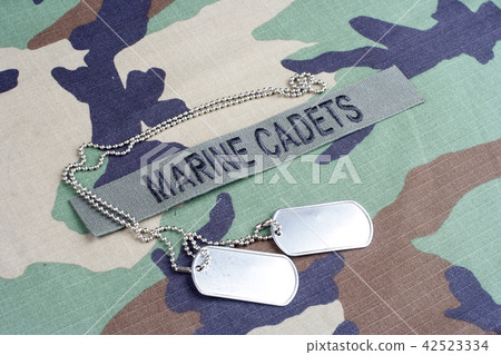 US MARINE CADETS branch tape and d 42523334