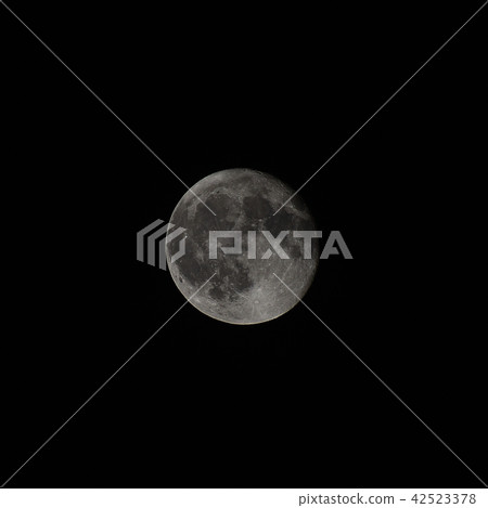 Monday (aged 16.0) 42523378