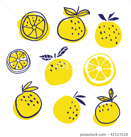 Set of stylish oranges fruits vector illustration 42523528